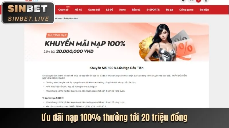 Hoàn trả hàng ngày 999.win